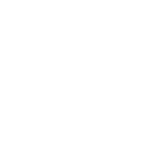 whalesquares Instagram